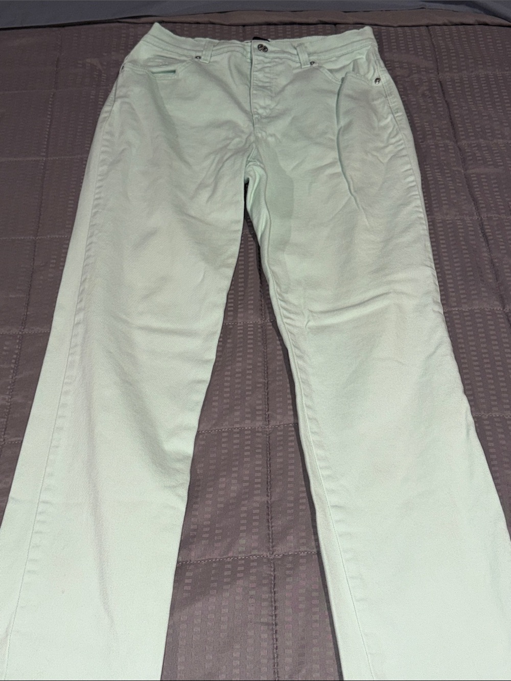 Women’s Casual Straight-Leg Pants in Light Mint